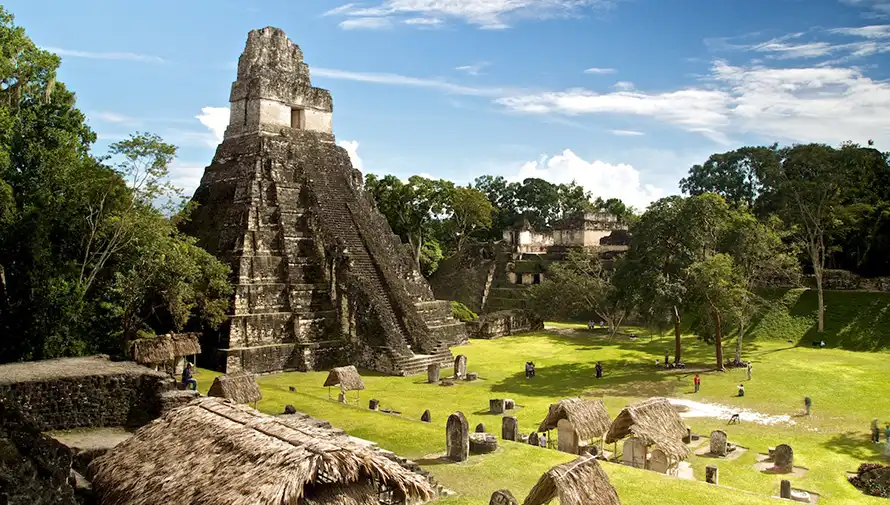 Flores y Tikal